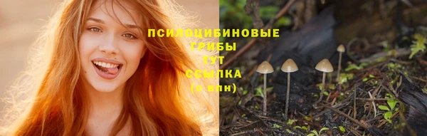 мяу мяу кристалл Баксан