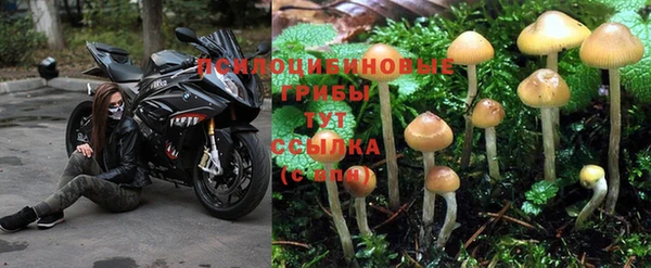 каннабис Балабаново