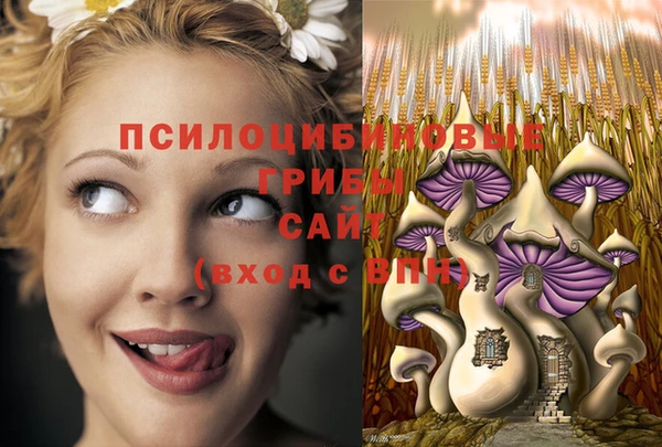 spice Балахна