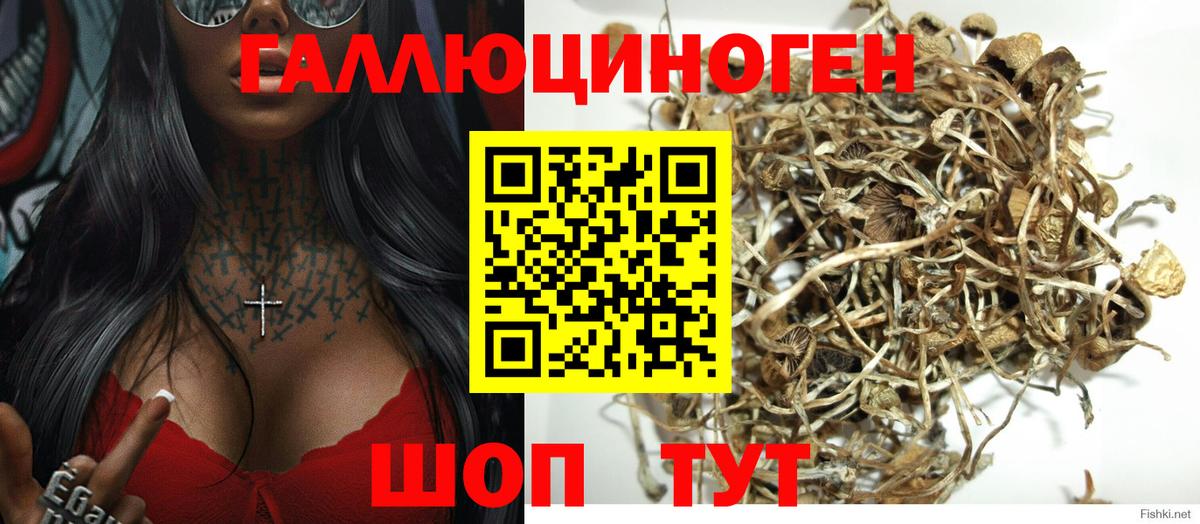 Псилоцибиновые грибы мухоморы Белогорск