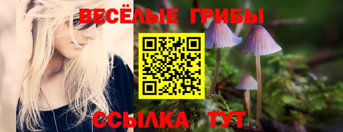 Псилоцибиновые грибы прущие грибы  Псилоцибиновые грибы ЛСД  Вход с VPN  Белогорск 